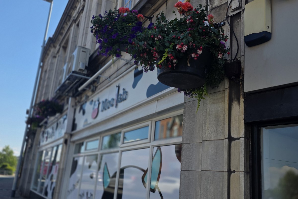 Summer hanging baskets in Mansfield town centre